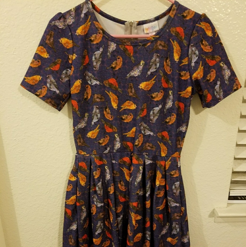 M Lularoe Amelia dress - birds print